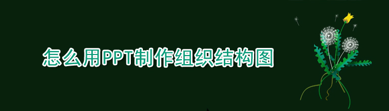PPT怎么制作组织结构图