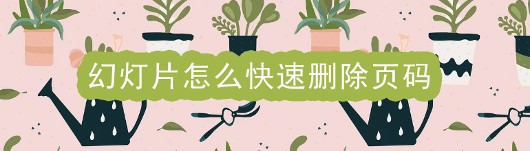 幻灯片怎么快速删除页码