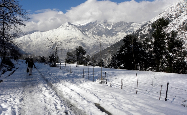 冬天雪谷图片