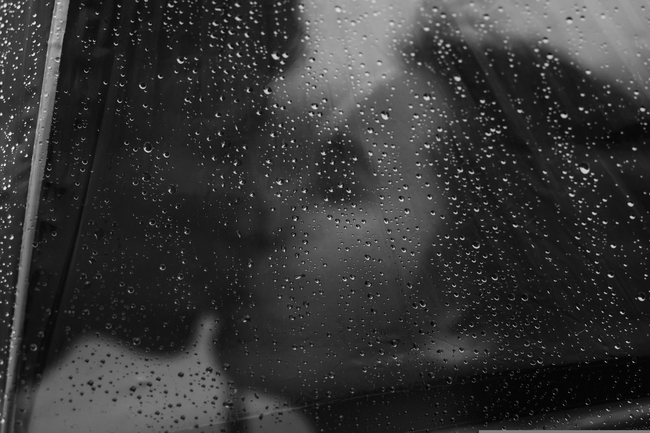 情侣雨中浪漫接吻黑白摄影图片