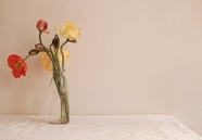 桌台罂粟花插花图片