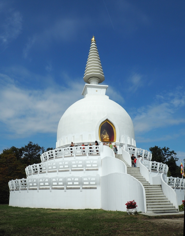 佛教寺舍利塔图片