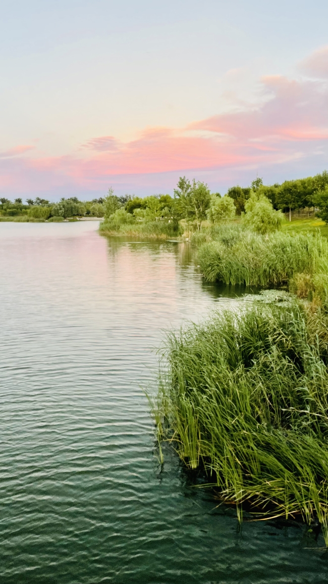 黄昏湿地公园风景图片