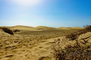 马斯帕洛马斯沙漠图片