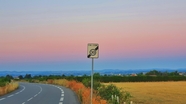 黄昏乡村公路指示牌图片