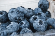 高清冷链新鲜蓝莓图片