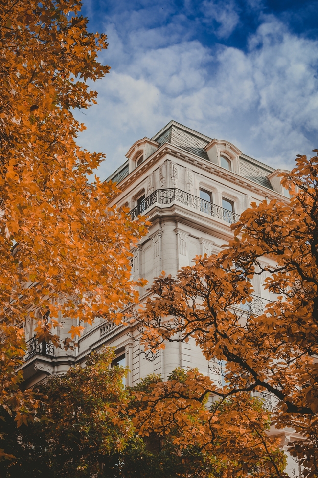 秋天欧洲城市建筑摄影图片
