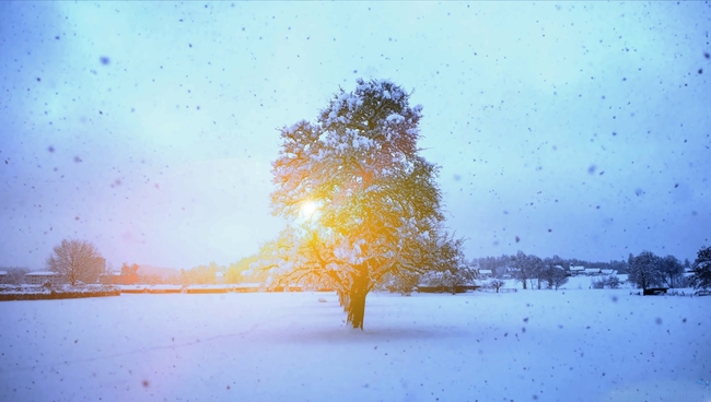 冬季大雪纷飞雪地风景图片