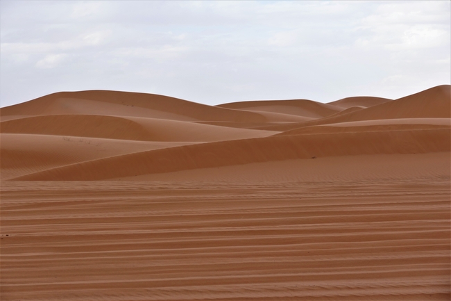 撒哈拉沙漠风景图片