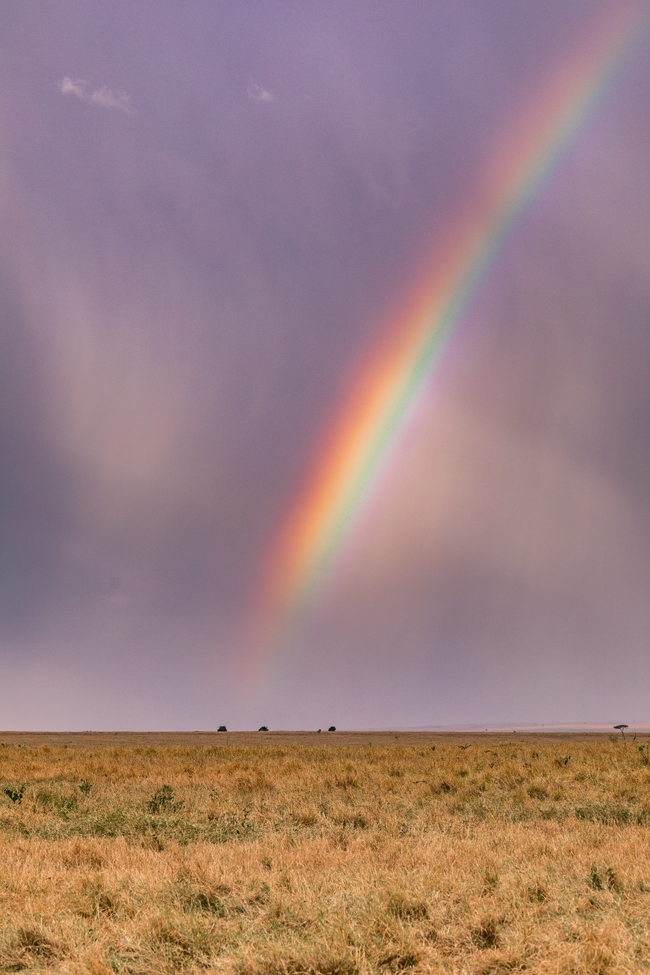 非洲大草原彩虹风景图片