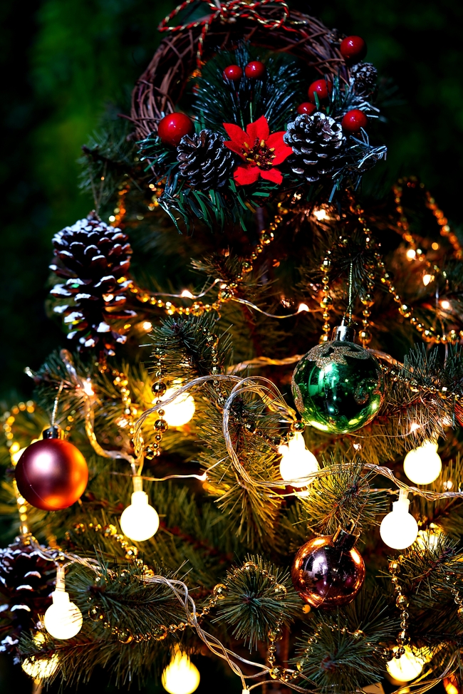 圣诞节圣诞树彩灯装饰图片