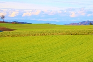 瑞士乡村大草原风景图片