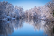 冬季树林湖泊风景图片
