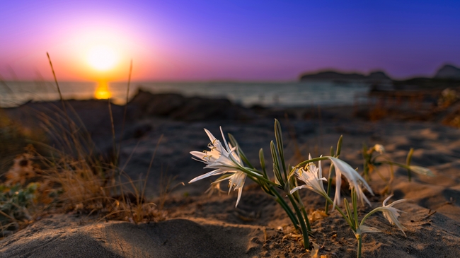 克里特岛黄昏美景图片