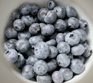 健康有机进口美国蓝莓图片