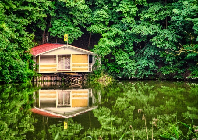 夏日湖边树林小木屋风景图片