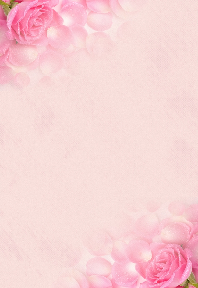粉色玫瑰花淡雅背景图片