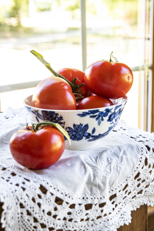 夏日桌角红色西红柿摄影图片