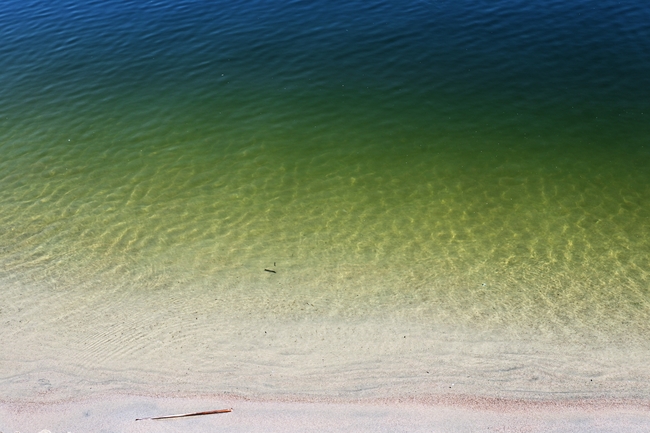 唯美白色海滩绿色海水图片