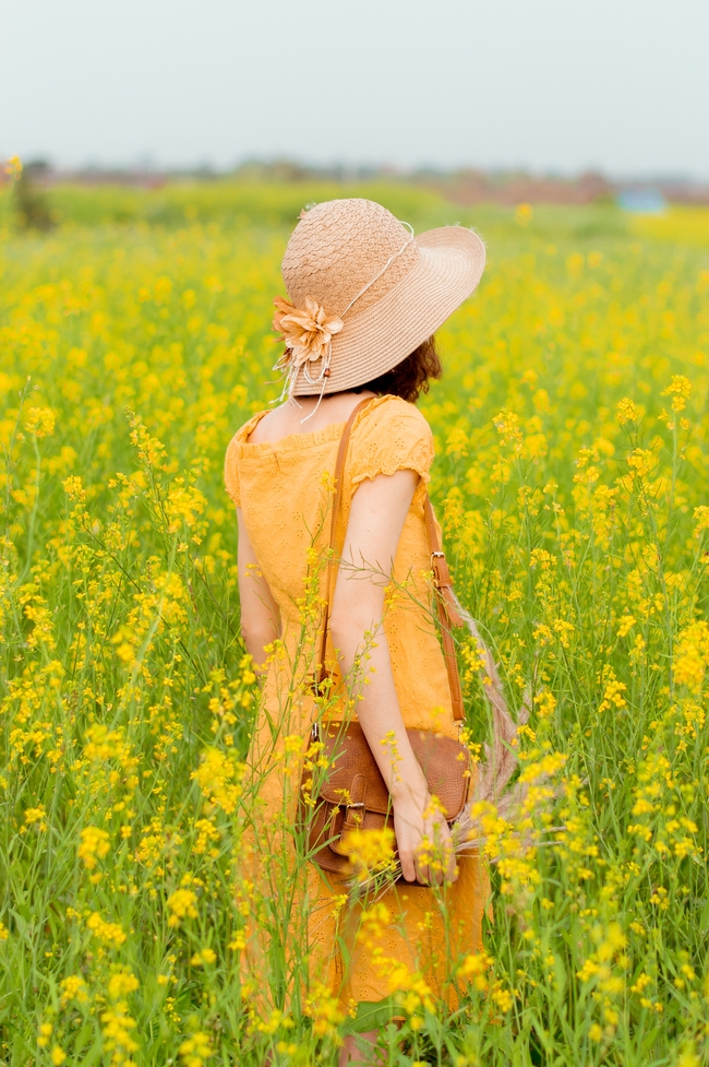 夏日油菜花海美女背影写真图片