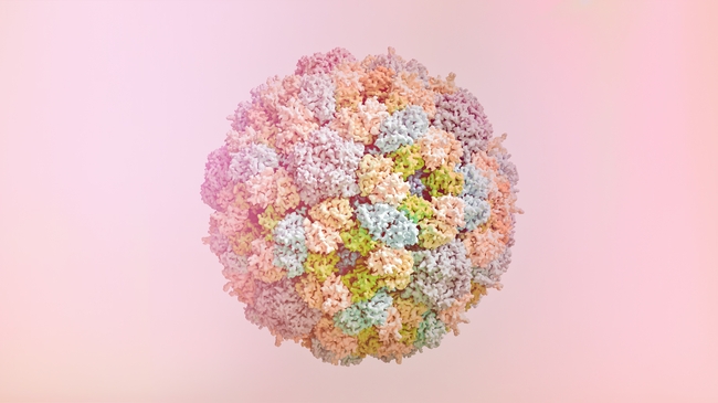 噬菌体病毒细胞摄影图片