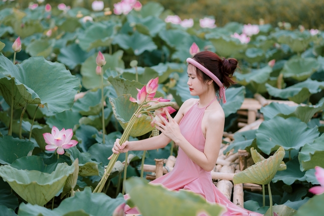 夏日荷塘粉色连衣裙美女写真图片