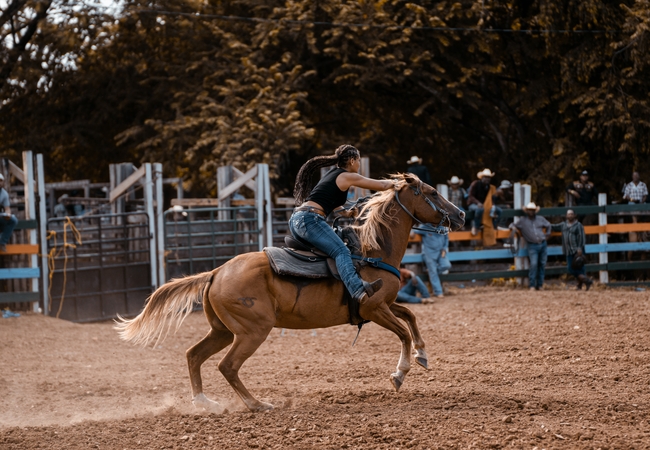女骑士骑马竞技表演摄影图片