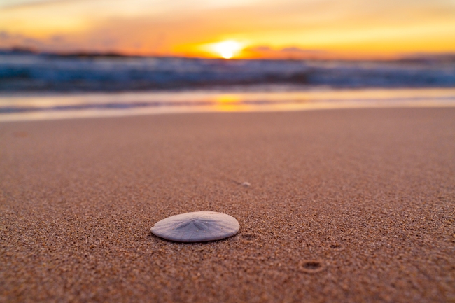 唯美非主流黄昏海滩夕阳摄影图片