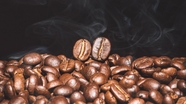 烘培好的咖啡豆摄影图片