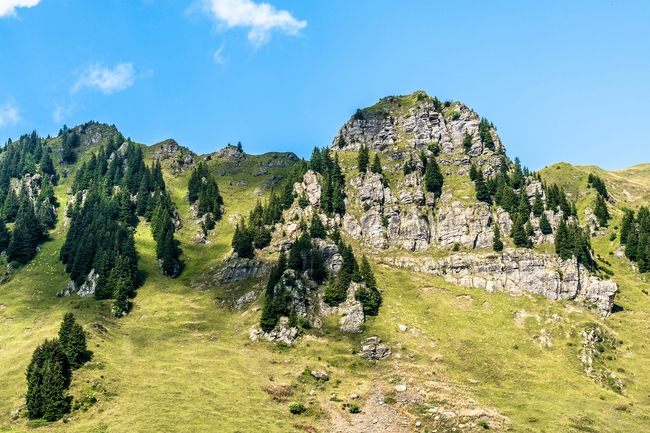 春天绿色阿尔卑斯山山脉风光摄影图片