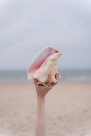 海边沙滩手持海螺手势摄影图片