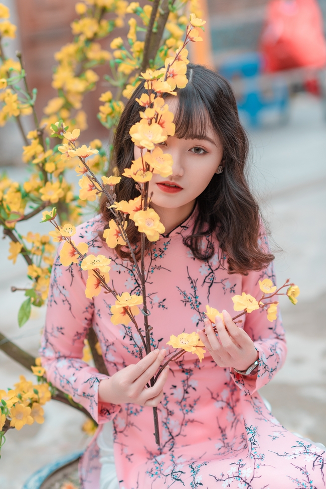 春节越南粉色花纹奥黛裙美女写真图片