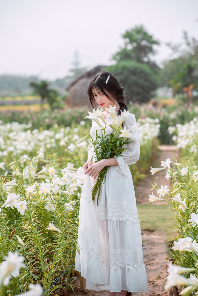 清新治愈系白色百合花花海美女写真图片