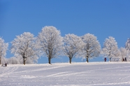 冬季白皑皑的雪景摄影图片