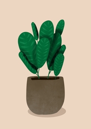 极简主义盆栽植物插画作品图片