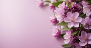 紫色风格花卉背景摄影图片