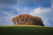 秋天蓝色天空树木草地风景摄影图片