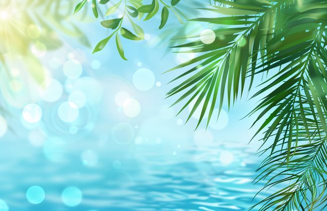 唯美夏季波光粼粼棕榈叶背景高清图片