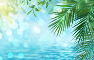 唯美夏季波光粼粼棕榈叶背景图片