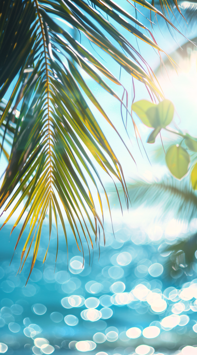 夏季阳光椰子叶背景精美图片