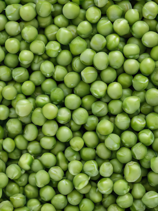 绿色有机健康豌豆粒写真图片
