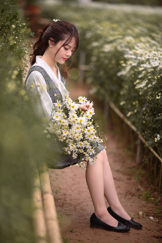 坐在小雏菊花圃中的亚洲侧颜美女图片