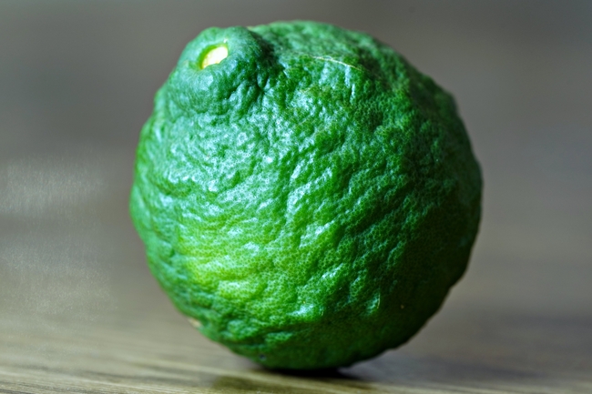 一个绿色柠檬摄影图片