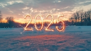 2025数字烟花设计图片