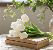 牛皮纸书籍上的白色郁金香图片