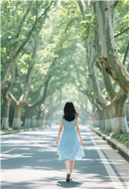 南京梧桐树街道少女背影写真图片