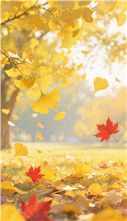 金色秋天满地落叶图片