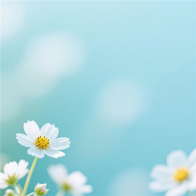 唯美小花壁纸背景图片