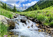 山间小溪流流动摄影图片