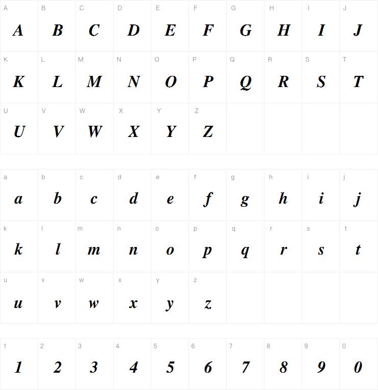 CG Times Bold Italic